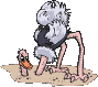struzzo terra.gif